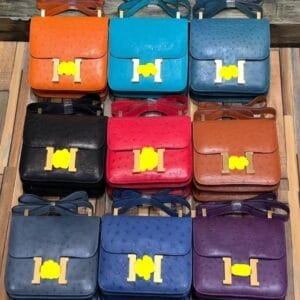 UNIC Constance Ostrich